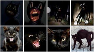 All Cartoon Cat In Real Life Compilation Trevor Henderson Monster