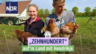 Mobile Hühner & ein bisschen Schule aufm Acker  Folge 2  NDR aufm Land