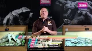 High UVB Reptile lamps by Arcadia Reptile. Explained and shown by Dr Mike Leahy.