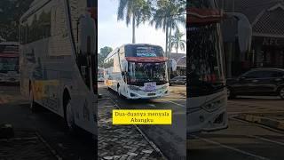 Sahut menyahut seperti di pasar #busmania #basuri #basuribus #telolet #teloletbasuri #teloletbus