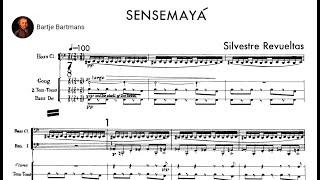 Silvestre Revueltas - Sensemayá 1937 {Bernstein}