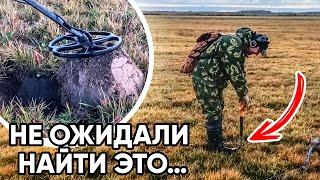 Одной находкой окупил металлоискатель КОП в Твери. Нашли 80 монет и 3 дорогих артефакта