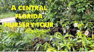 A Central Florida fruit tree nursery tour