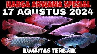 Survey HARGA ARWANA SPESIAL 17 AGUSTUS 2024 SPEK ISTIMEWA JENIS ARWANA SUPER RED KUALITAS TERBAIK