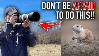 3 Things Wildlife Photographers are AFRAID to Do