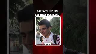 Karga ve Gencin Hayrete Düşüren Dostluğu... #haber #reels #shorts