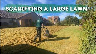 Scarifying a large mossy lawn  biggest one yet 