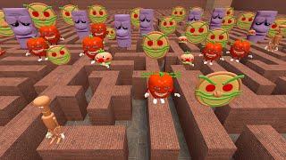 Pizza Tower Bosses & Characters in MAZE in Garrys Mod