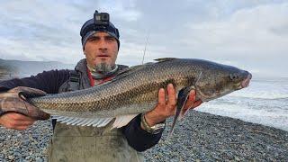 Cucao chiloé el paraíso de los robalos otro día de champios y robalosaurios salida #7