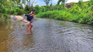 JALA IKAN DI SUNGAI KECIL INI SEBENTAR SAJA DAPAT BANYAK IKAN.‼️best fishing video