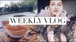 Walking in cow poo and having afternoon tea Its been one of those weeks  Weekly Vlog #2