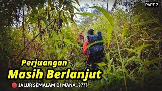 Pendakian GUNUNG MANYUTAN Via SEKETIP - Antara Jurang dan Rumput setinggi 2 meter Part 2