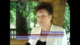 Податковий діалог.  відеофрагмент про  ВПП  Луч  м.Любеч 
