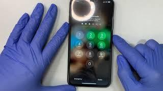 iPhone 11 Pro Max Screen Replacement