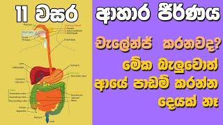 OL Science Sinhala  Grade 11 Science Unit 6 Part 1   Digestive System   ආහාර ජීර්ණ පද්ධතිය