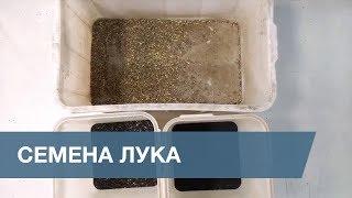 Сортировка Семена Лука