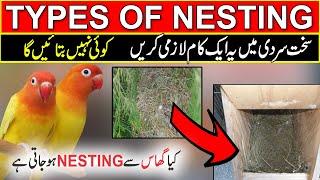 How to make nest for love birds  best nesting material for love birds  types of nesting