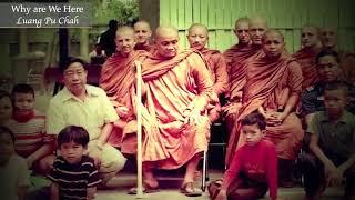 Why are We Here?  Ajahn Chah