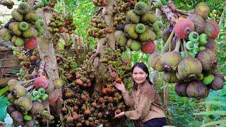 Interesting Thing When Harvesting Figs Fruits and bamboo shoots Going to the market to sell -Nga Bui