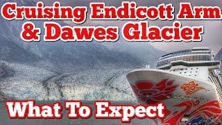 Cruising the Endicott Arm & Dawes Glacier - Alaska - What to Expect