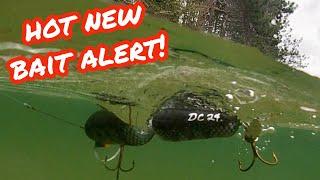 The DC BAITS RODENT hits the water in SUNSET COUNTRY