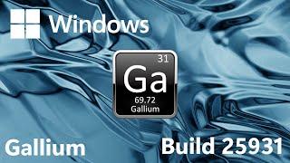 VMware Beta Installations Windows 11 build 25931 Gallium