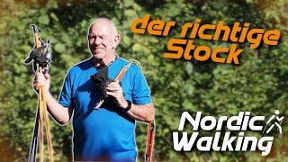 Die richtige Stockwahl beim Nordic Walking