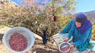 Mountain pistachios Grandmas skillful take on beautiful nature