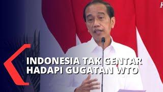 Indonesia Digugat Uni Eropa Jokowi Kita Siapkan Pengacara Kelas Internasional