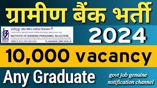 Gramin Bank vacancy 2024  IBPS RRB notification 2024  clerk and po online apply