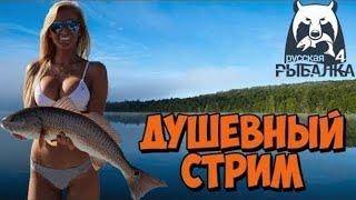 Русская рыбалка 4 Стрим. Ловим рыбу и общаемся рр4 стрим.