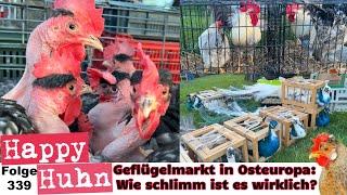 Geflügelmarkt in Osteuropa Immer noch so schlimm? Ein Fazit zur Monor Kisállatbörze HAPPY HUHN E339