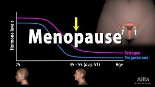 Menopause Perimenopause Symptoms and Management Animation.