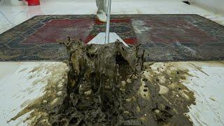 Satisfying Carpet Cleaning Compilation Filthy To Fresh - Oddly Satisfying Video