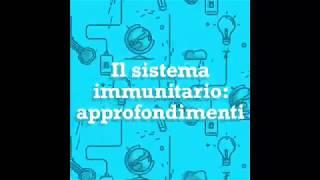 Il sistema immunitario approfondimenti. Niccolò Z.