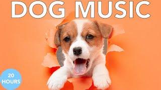 Relax My Dog Music Deep Separation Anxiety Music to Calm Dogs