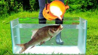 LAVA vs FISH Underwater - Experiment
