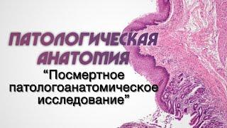 Клиническая патологическая анатомия №3 Посмертное патологоанатомическое исследование