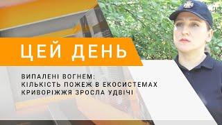 Випалені вогнем кількість пожеж в екосистемах Криворіжжя зросла удвічі