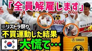 【海外の反応】「え…ウソでしょ…」反日教育を受けた韓国人が絶句…日本を貶めようとした結果w