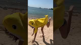 Babyshark on the beach ️ #cutebaby #babyshark #cute