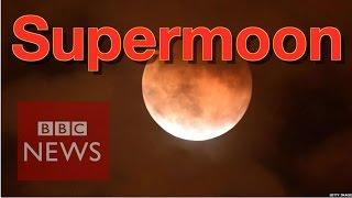 Supermoon around the world - BBC News