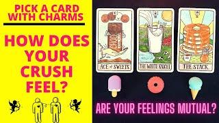 HOW DOES YOUR CRUSH FEEL ABOUT YOU? ARE THE FEELINGS MUTUAL?️‍CHARMTAROT PICK A CARD