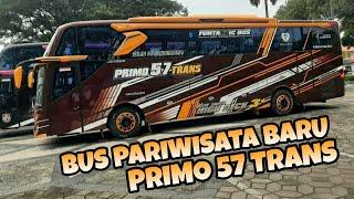 REVIEW BUS BARU PRIMO 57 TRANS MALANG..BUS ARTIS DENGAN FULL VARIASI KEREEEN