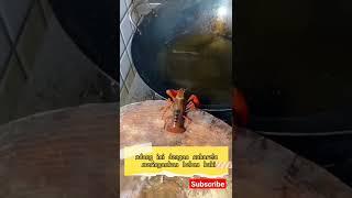 VIRAL ‼️ LOBSTER PASRAH BUNUH DIRI