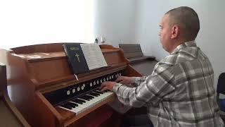 Redeemed How I Love To Proclaim It  Organist Bujor Florin Lucian playing on Romanian Reed Organ