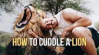 How to cuddle a Lion - Dean Schneider
