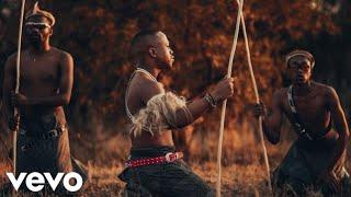 Kabza De Small - Kabza Chant Music Video feat Young Stunna Nkosazana Daughter Mthunzi & Murumba…