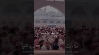 Most Beautiful Recitation of Holy Quran #quran #quranrecitation #islam #quranverses #alquran