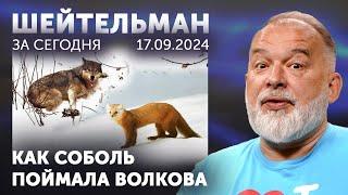 Как на роспропаганду попались Илон Маск Тейлор-Грин Латынина Джей Ди Вэнс и многие из нас